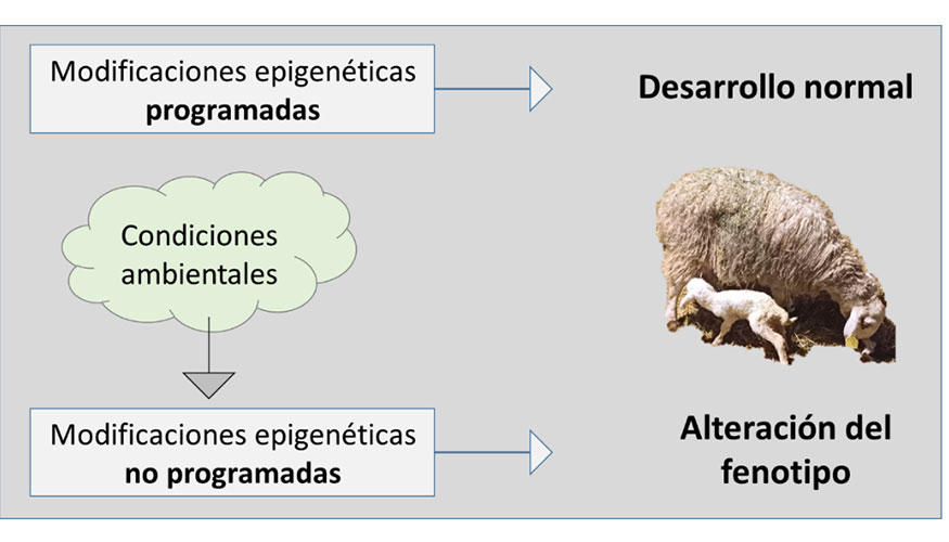 Figura 2...