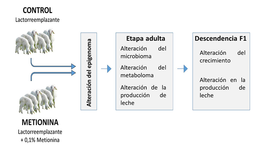 Figura 4...
