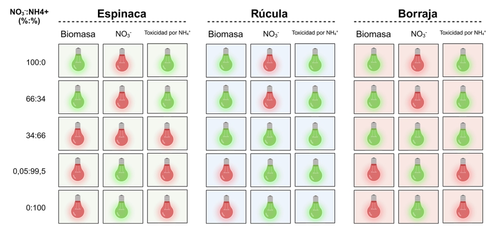 Figura 5...