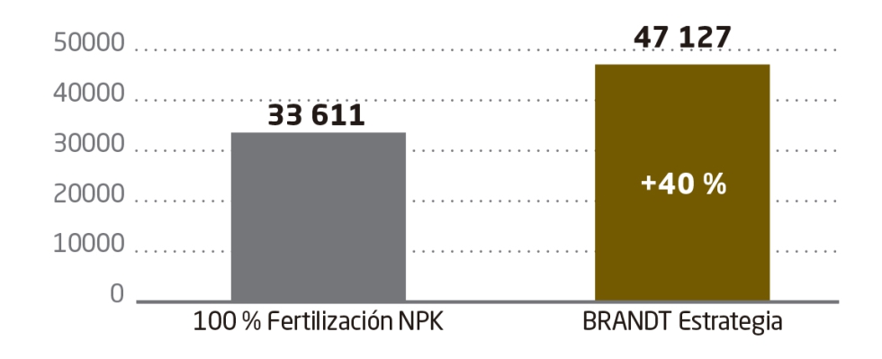 Grfico 3. Produccin total kg/ha