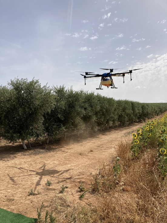 En cultivos leosos hay una dificultad aadida por tratarse de plantaciones de dos o tres metros de altura