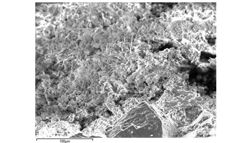 Cristales en la grieta ensayada de una muestra de mortero con una bacteria vista en el microscopio electrnico de barrido...