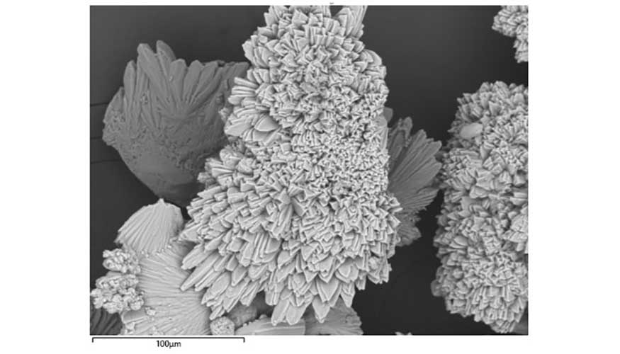 Cristales de carbonato clcico producido por bacterias en el agua de ensayo del mortero