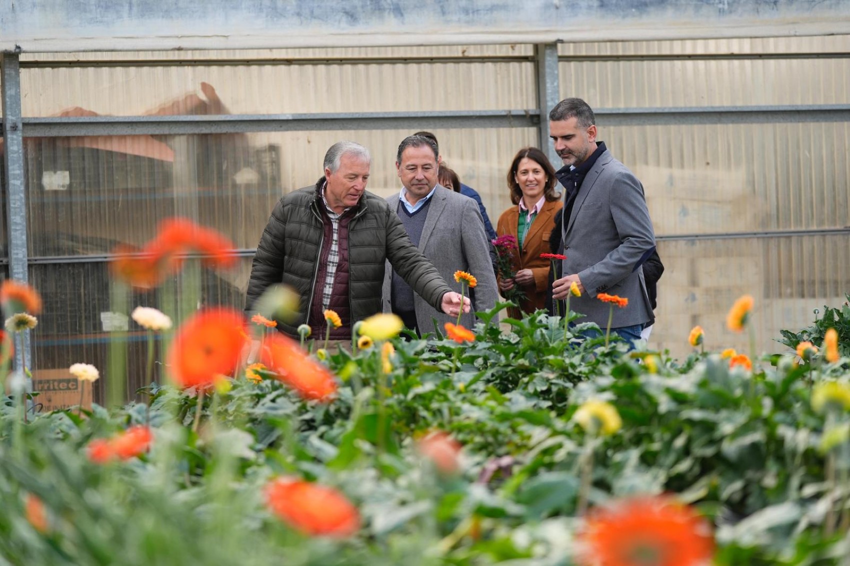 El consejero de Agricultura de Andaluca, Ramn Fernndez-Pachecho, durante su visita a la empresa de flor cortada Flores de Lebrija...