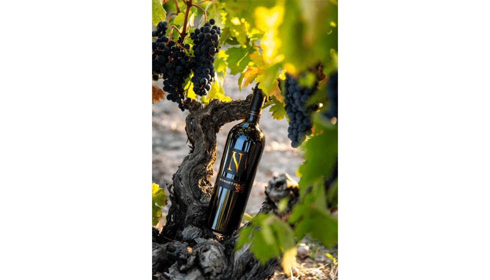 El estilo Numanthia viene de una selecci�n de uvas de m�s de 100 parcelas de vi�edos de pie franco, entre 50 y 100 a�os de edad, y sin irrigaci�n...