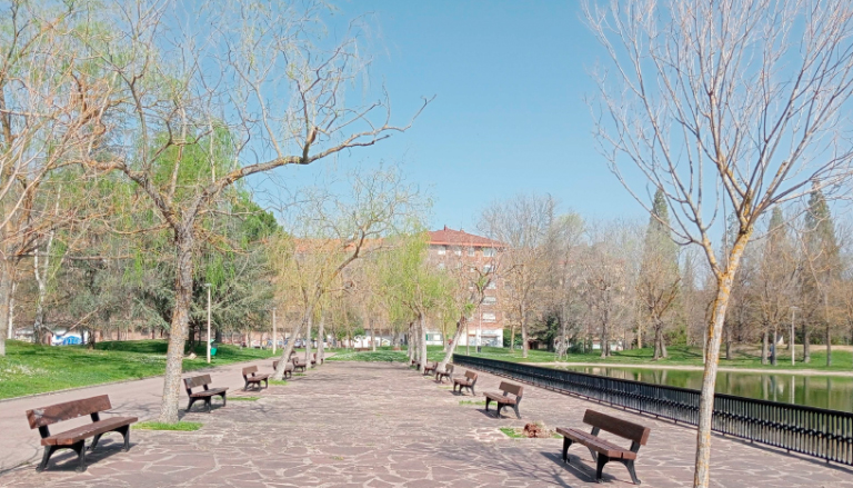 El proyecto tiene como objetivo mejorar la sombra en el parque...