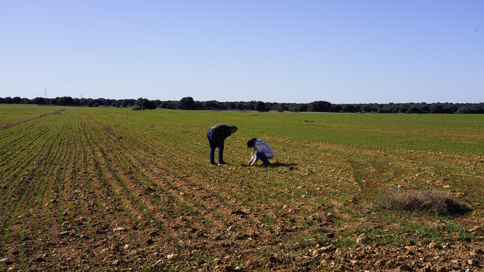 Los impulsores de la iniciativa destacan la implicacin de los 21 agricultores de la zona, que representan el 100% de la comunidad agrcola local...