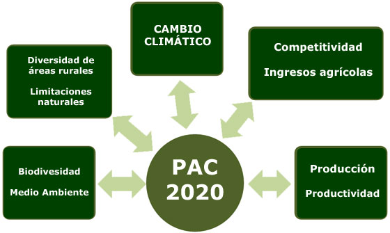 Figura 1: Principales objetivos que debe cumplir la revisin de la Poltica Agrcola Comn (PAC)