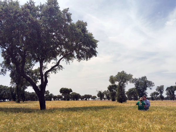 El proyecto cuenta con la herramienta CANARI que permite analizar de forma rpida y sencilla las proyecciones climticas de ms de 100 Indicadores...