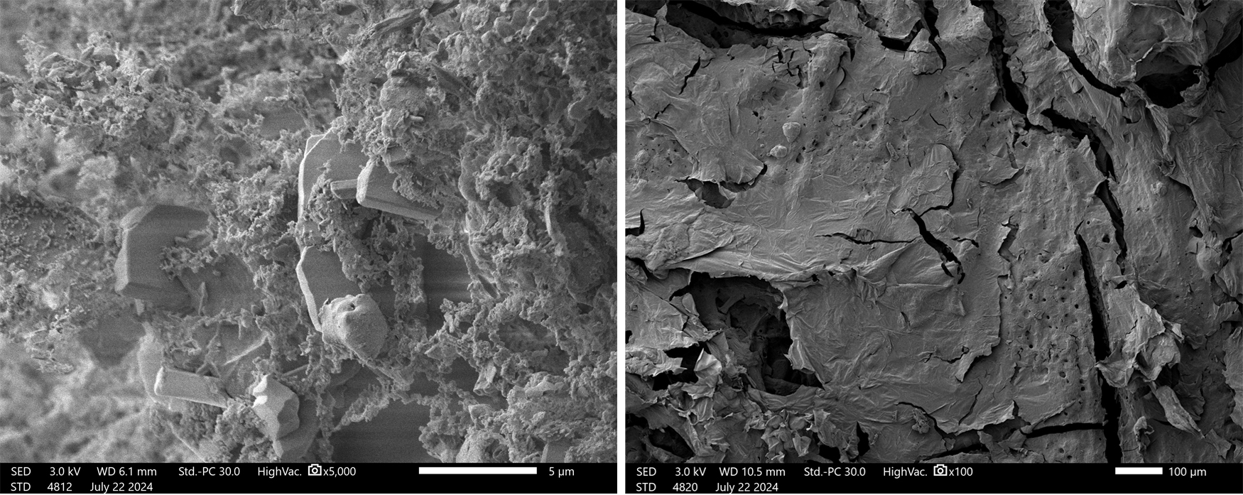 Figura 4: Micrografas SEM bio-PUD (izquierda) y bio-PUD+FR (derecha)