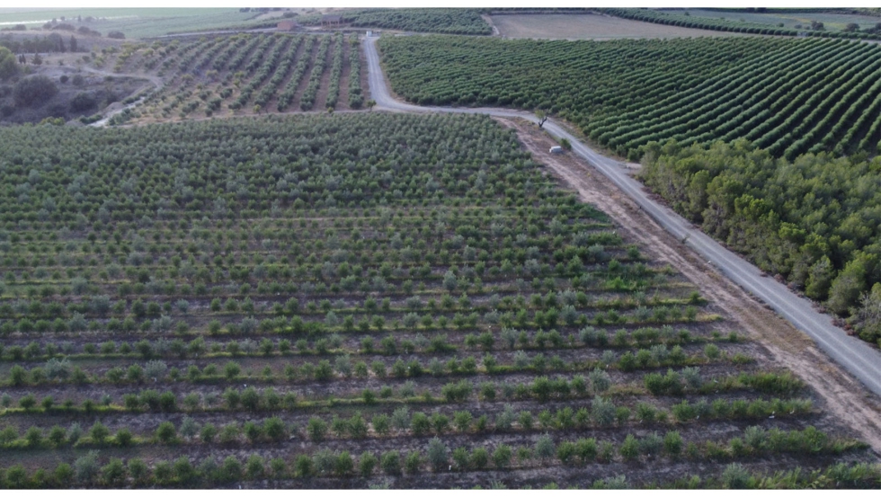 Visi�n a�rea de la finca de la familia Alsina Casanovas