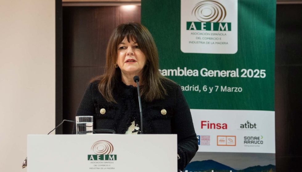 Almudena Garca, presidenta de Aeim, durante la presentacin de la jornada