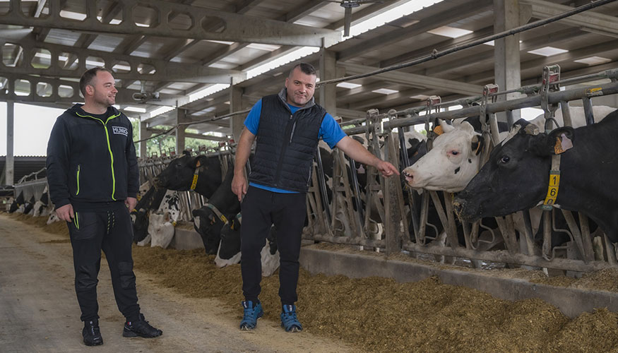 Luis Carlos y Roberto, Pradedo de Arriba, primer DeLaval VMS Batch Milking en Espaa