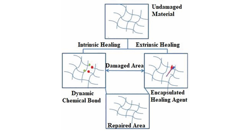Mecanismo de autorreparacin intrnseco y extrnseco