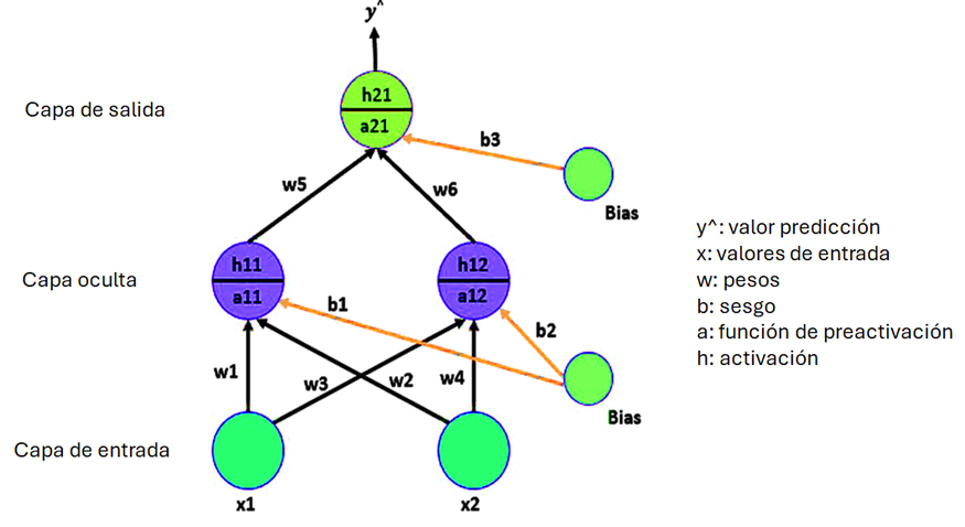 El entrenamiento se realiza mediante aprendizaje supervisado utilizando un conjunto de datos etiquetados, es decir...