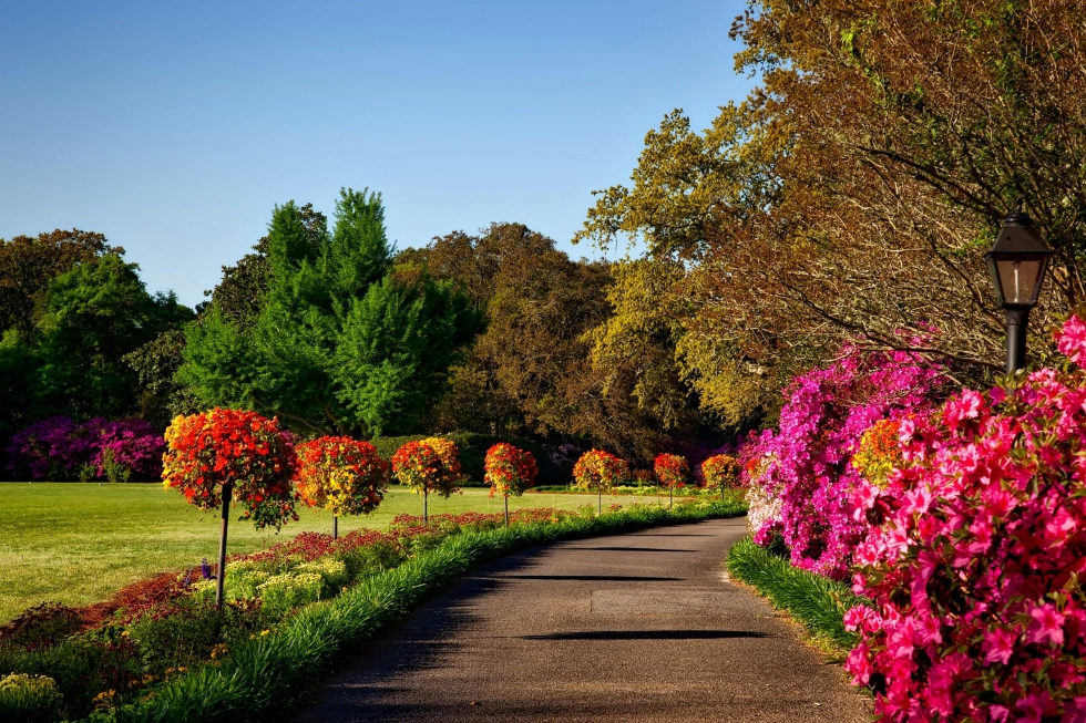 Un poco de planificacin y preparacin puede traducirse en cosechas frescas, flores coloridas y un jardn espectacular en los prximos meses...