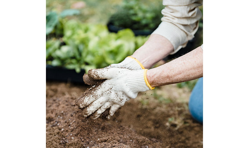 Es fundamental preparar el suelo para la siembra de plantas y cultivos