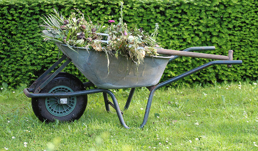 Los restos de jardinera puedes ayudar a crear un buen compost casero