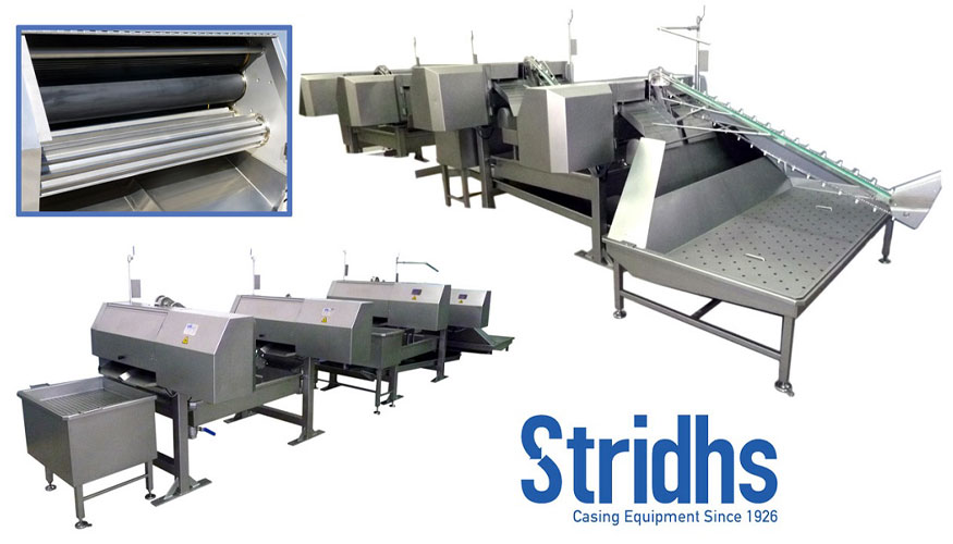 L�neas de procesado de tripas finas de Stridhs