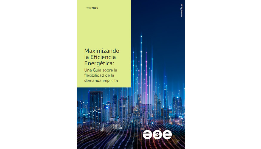 Portada 'Maximizando la Eficiencia Energtica: Una Gua sobre la flexibilidad de la demanda implcita'