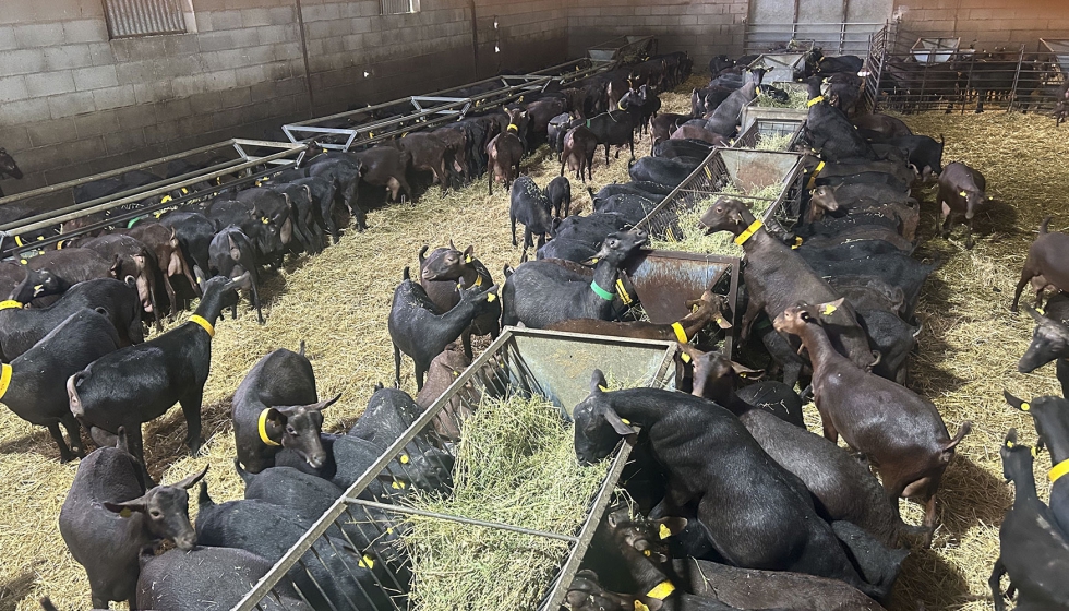 Explotaci�n Morcuende Garro