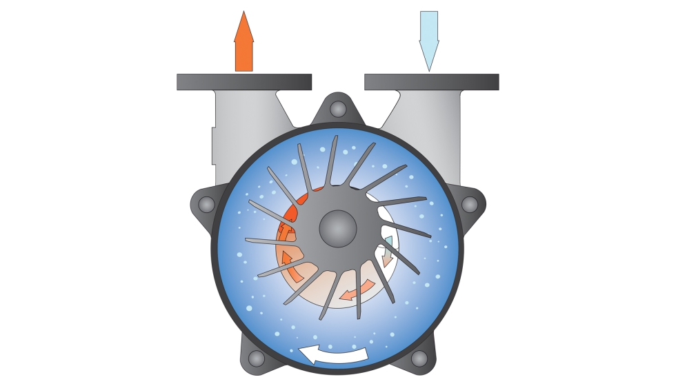 Seccin cruzada de una bomba de vaco de anillo lquido Dolphin