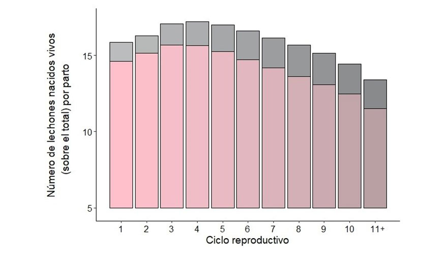 Figura 1. Prolificidad promedio (nmero total de lechones por parto) en cerdas reproductoras de capa blanca segn su ciclo reproductivo...