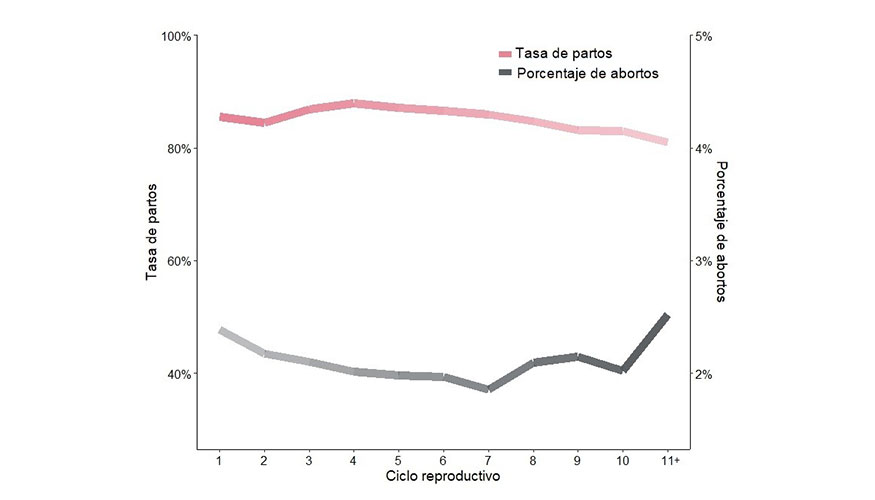 Figura 2. xito reproductor de cerdas de capa blanca a lo largo de consecutivos ciclos reproductivos...