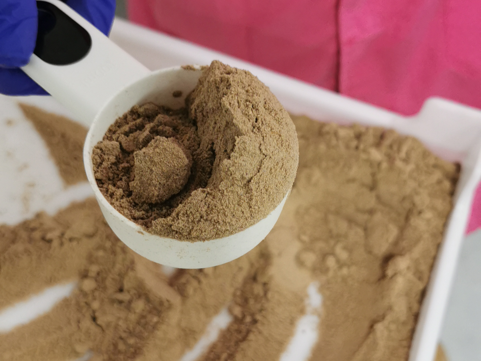 Em vez do consumo de insectos, o que se pretende  obter farinhas de inseto, ricas em protenas e de alto valor nutricional...