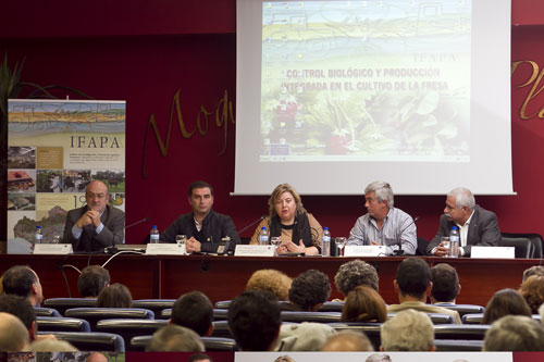 Clara Aguilera, consejera de Agricultura de la Junta de Andaluca, durante la clausura de las jornadas tcnicas organizadas por Ifapa...