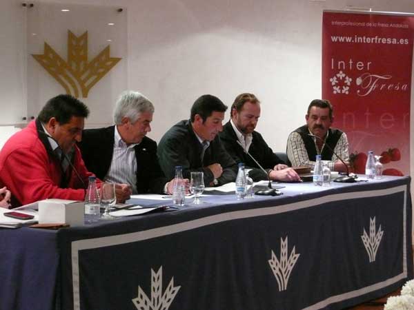 Antonio Luis Gonzlez, representante de UPA; Alberto Garrocho, representante de Freshuelva; Cristbal Picn Regidor...