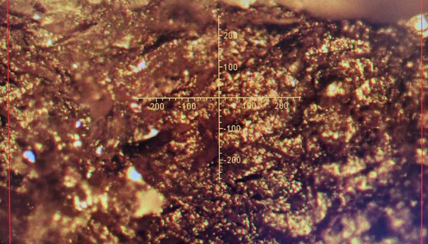 Los expertos elaboraron un algoritmo matem�tico con los espectros obtenidos mediante infrarrojo medio e introdujeron datos de histamina de muestras...