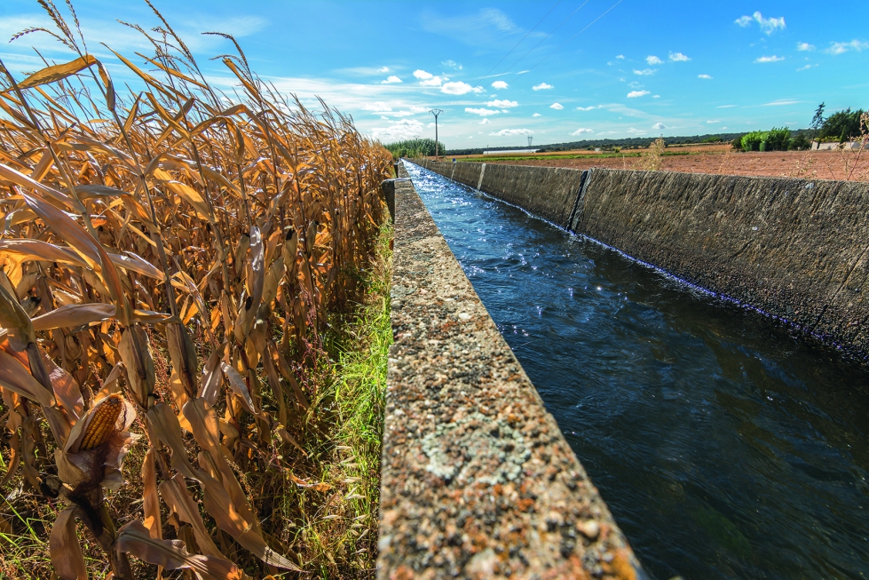 La dependencia de la electricidad de red para bombear agua ha hecho a los regantes vulnerables a la subida de los precios elctricos en la ltima...