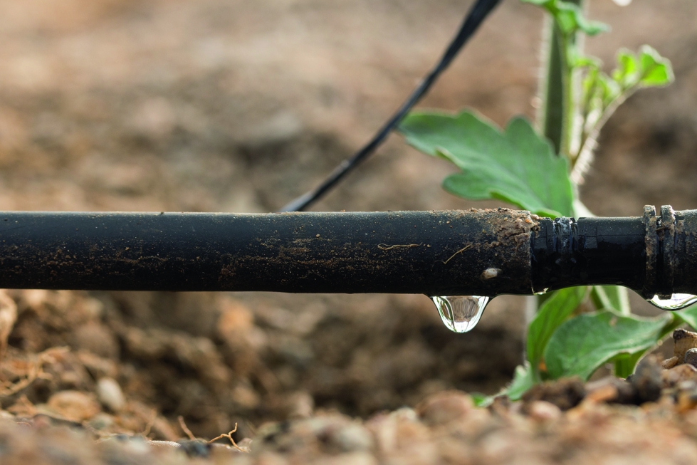 Actualmente el grueso del agua de riego sigue proviniendo de embalses y ros (74%) y acuferos (24%)...
