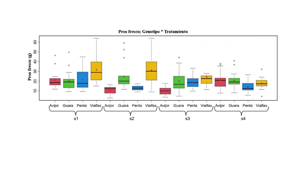 Figura 2. Box-plot o diagrama de caja para el peso fresco total de la planta en funci�n de la interacci�n genotipo � tratamiento...