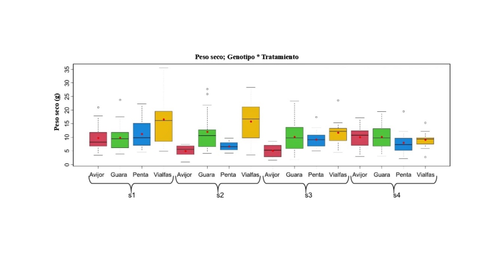Figura 4. Box-plot o diagrama de caja para el peso seco total de la planta en funci�n de la interacci�n genotipo � tratamiento...