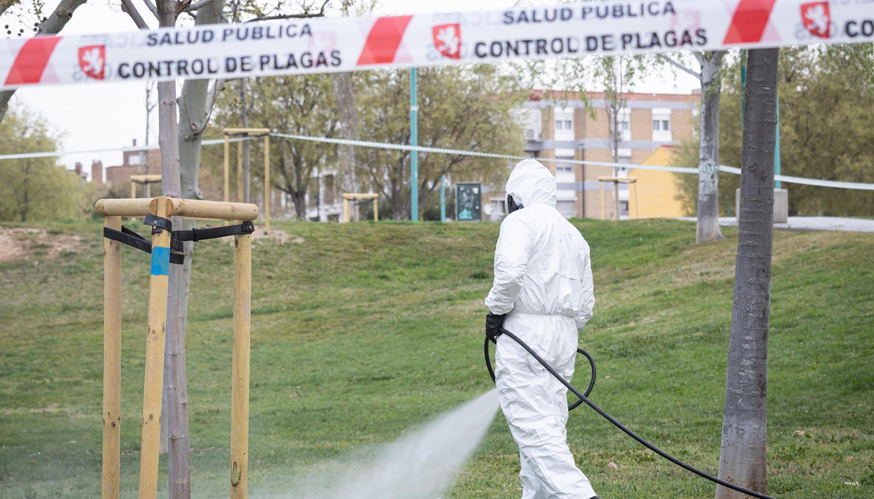 La lluvias del mes de marzo han hecho crecer antes la vegetaci�n en algunas zonas de Zaragoza...