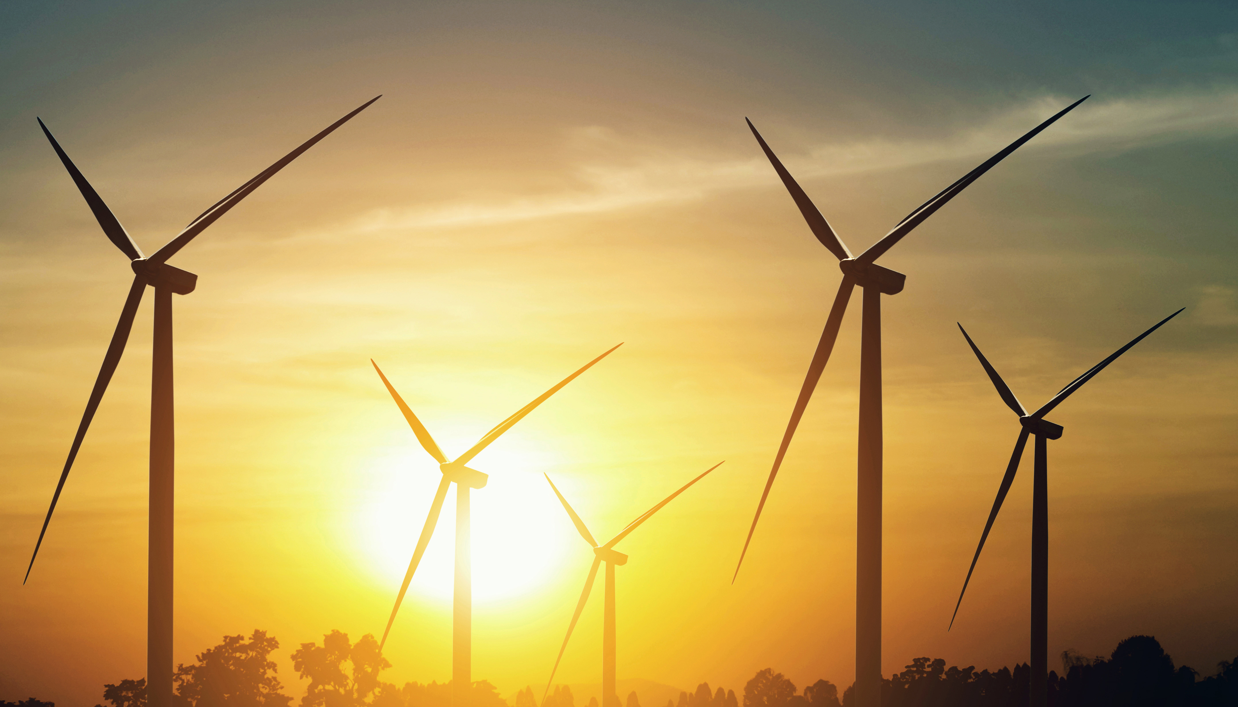 El plazo para recibir solicitudes y completar la documentaci�n permanecer� abierto hasta las 14...