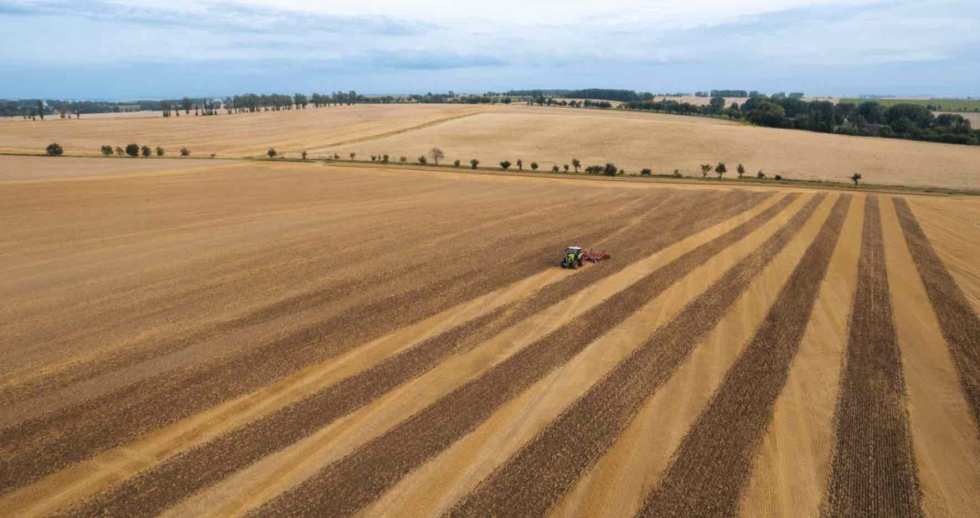 Equipo de trabajo en una gran finca alemana