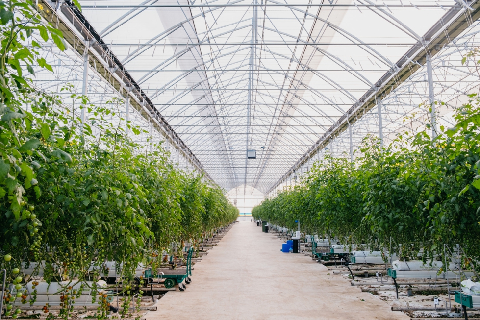 Este proyecto se desarroll en tres fases desde 2019 y es un ejemplo de cmo la tecnologa puede marcar la diferencia en productividad y eficiencia...