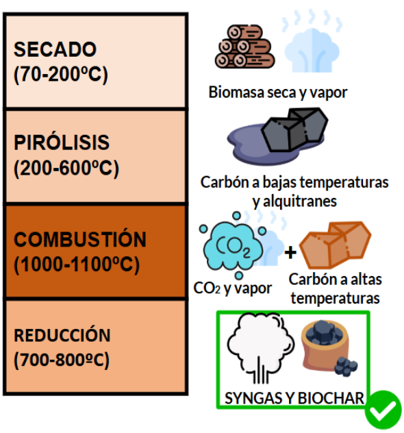 Figura 2. Esquema resumen de las etapas de gasificacin en el interior de un reactor. Elaboracin propia