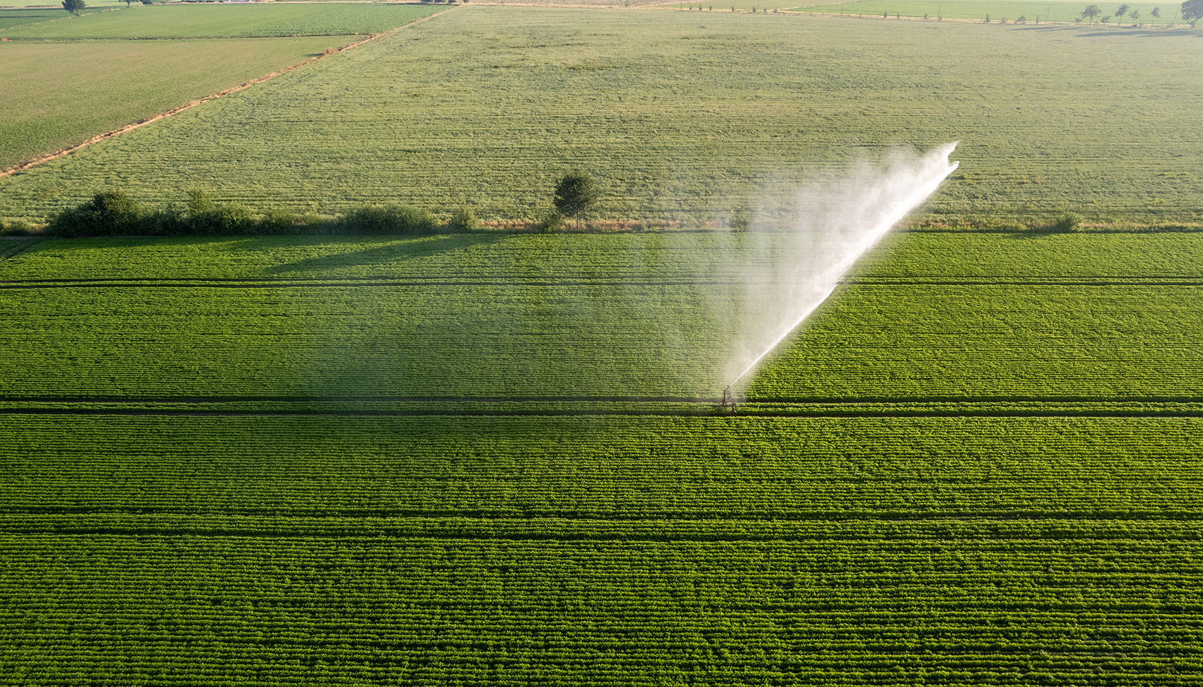 Ambas colaboraciones �permitir� garantizar el suministro eficiente de agua generando un impacto positivo tanto a nivel econ�mico como ambiental en...