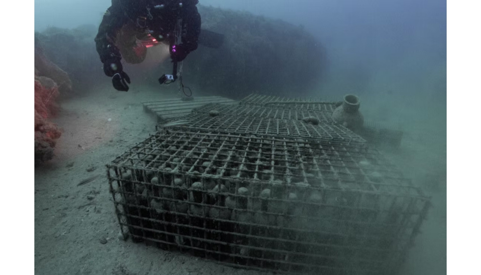 En La Bodega del Mar, la sostenibilidad es el corazn de su filosofa de hacer vino