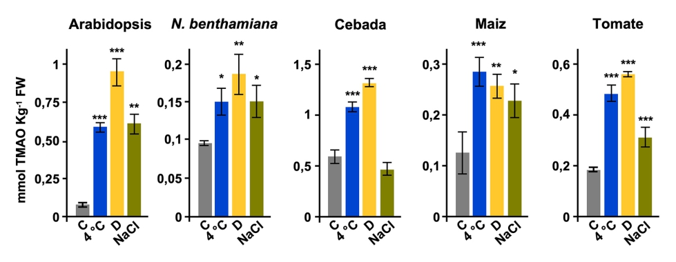 Figura 3. Las plantas acumulan TMAO en respuesta a condiciones de estr�s ambiental...