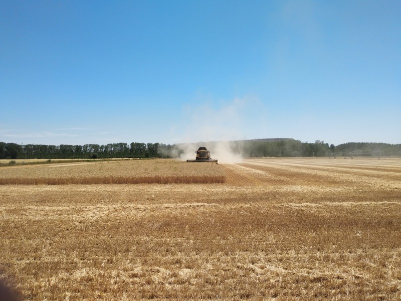 El cultivo de secano en Brasil, por ejemplo, minimiza el consumo h�drico, una ventaja frente a otros pa�ses