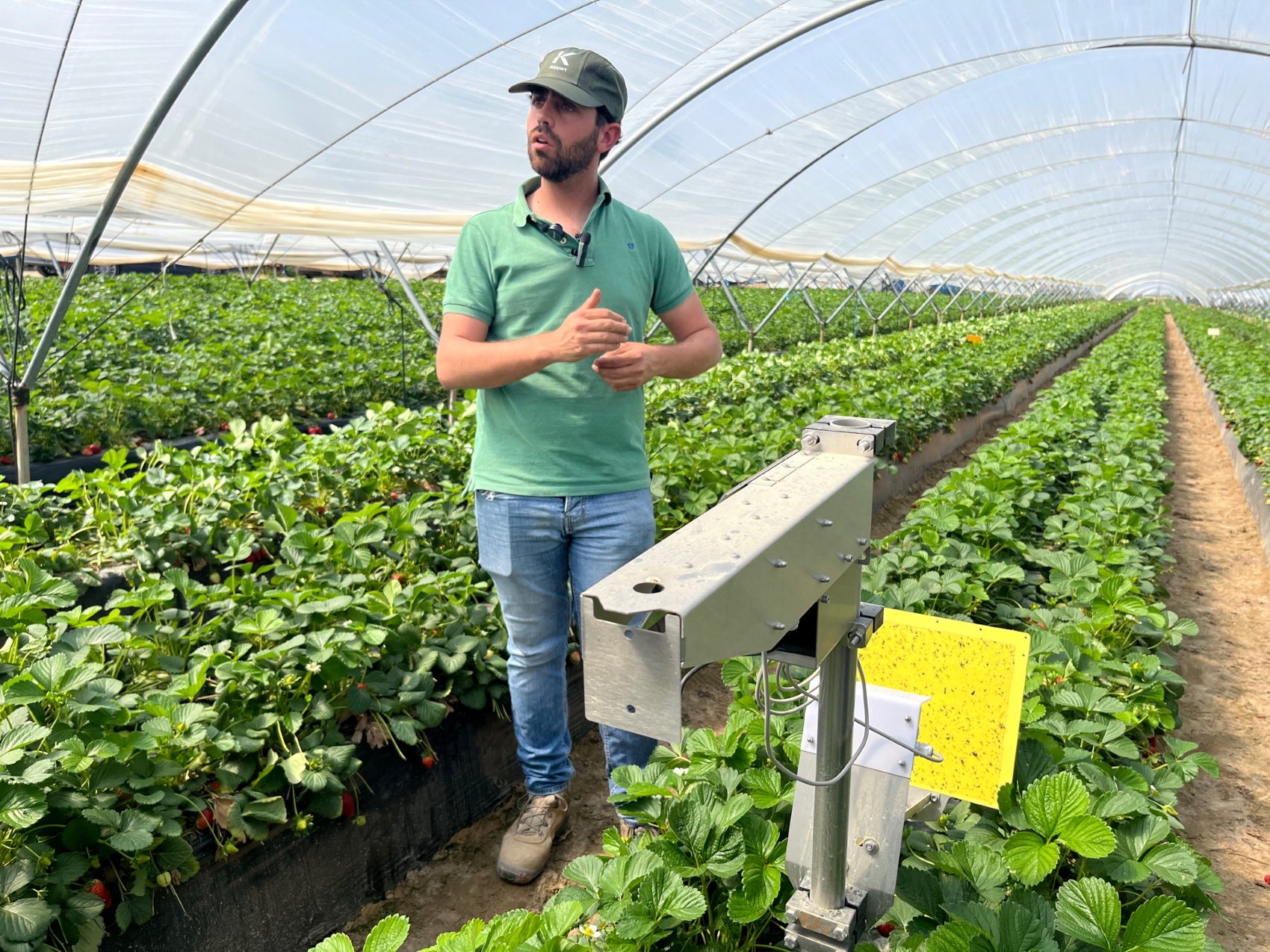 El agricultor Cristian Cumbreras explica cmo la lucha biolgica es su mejor aliada para controlar y prevenir las plagas...