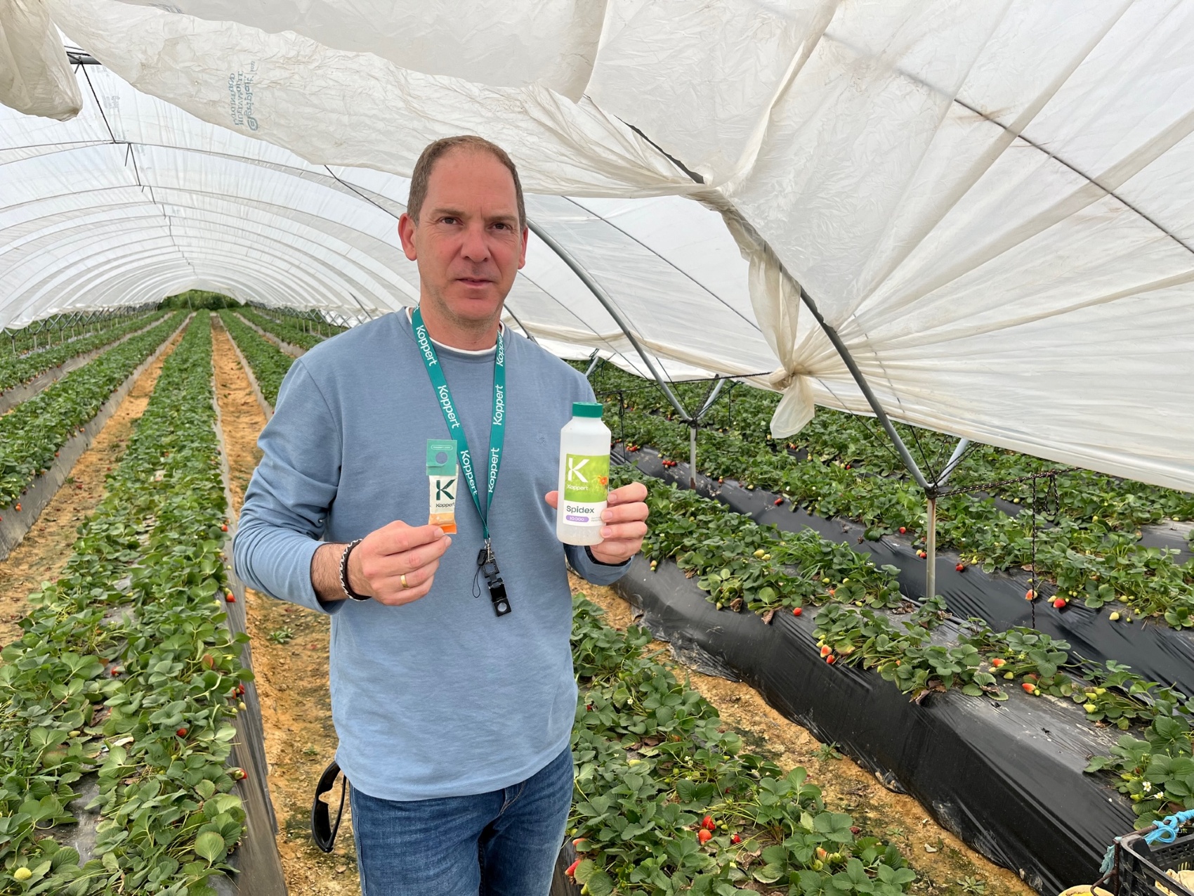 Tani Fernndez, tcnico de Koppert en Andaluca Occidental, muestra las herramientas de control biolgico de Koppert para frutos rojos...