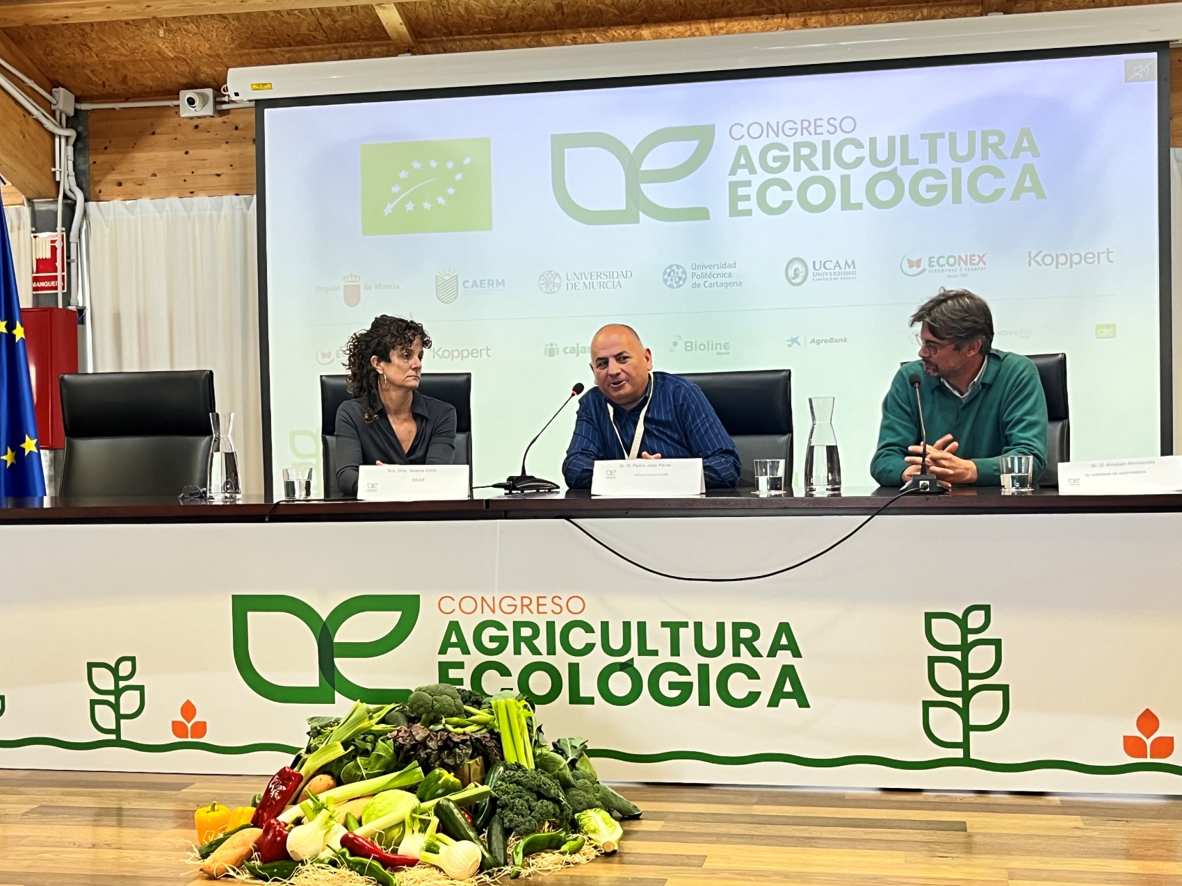 De izquierda a derecha, Helena Cifre, Pedro Jos� P�rez y Kristian Hern�ndez, durante su participaci�n en la mesa redonda sobre greenwashing...