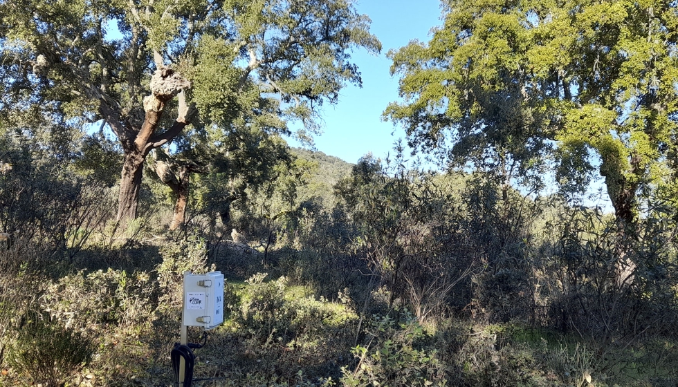 Finca experimental de Cicytex