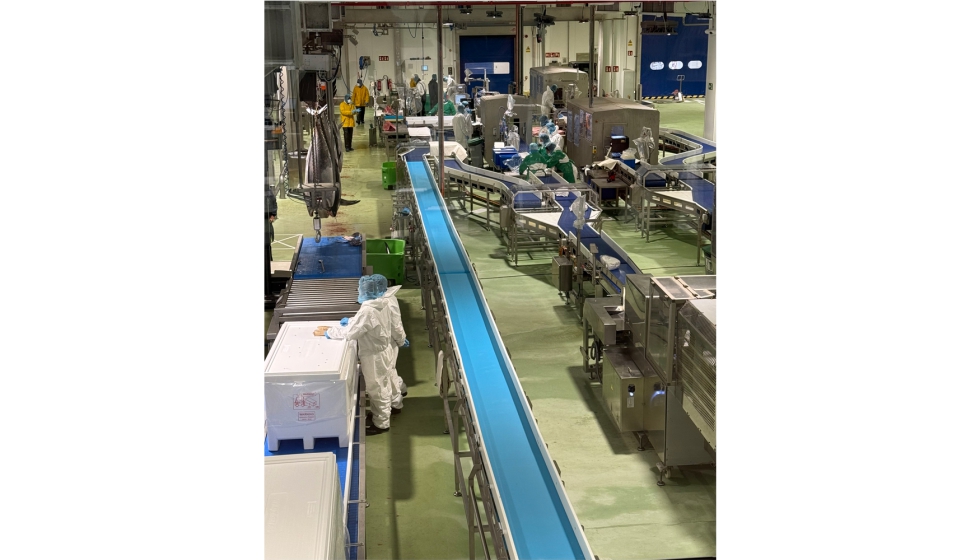 Las nuevas instalaciones de Balfeg� tienen una superficie de 12.000 m�